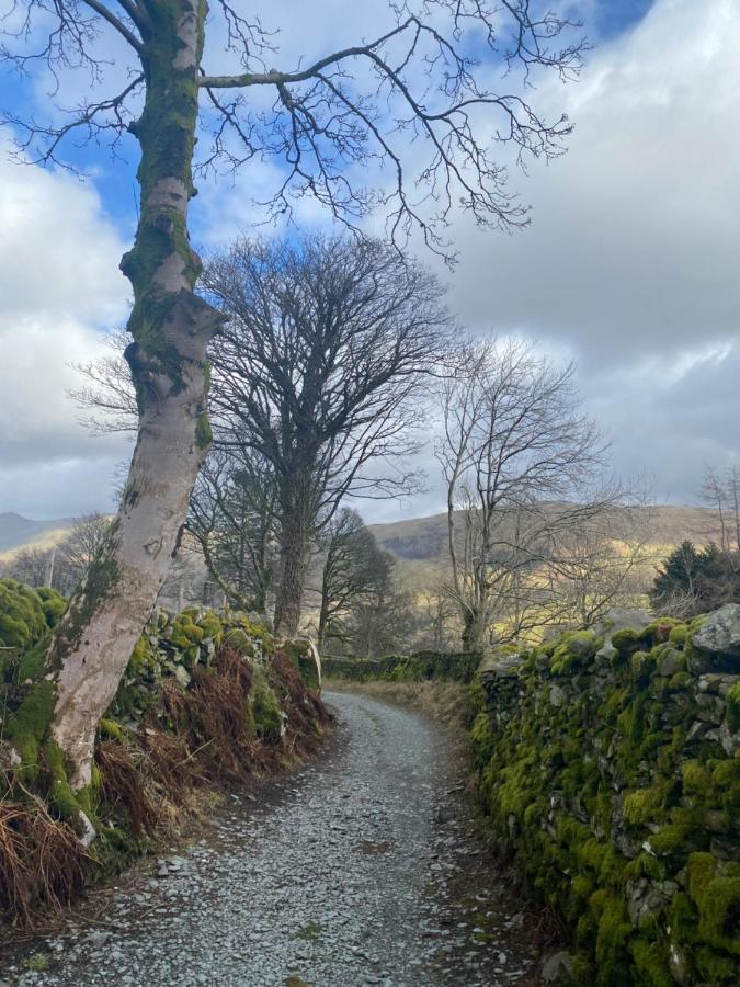 Ivy Bank Guest House Windermere Exteriör bild
